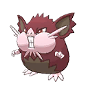 pokemon raticate-totem-alola image