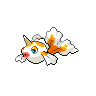 pokemon goldeen image