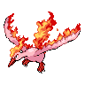 pokemon moltres image