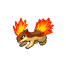 pokemon quilava image