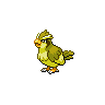 pokemon pidgey image
