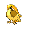 pokemon pidgeot image