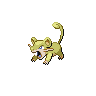 pokemon rattata image