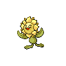 pokemon sunflora image