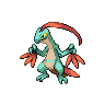 pokemon grovyle image