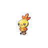 pokemon torchic image