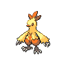 pokemon combusken image