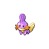 pokemon mudkip image