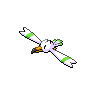 pokemon wingull image
