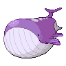 pokemon wailord image