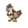 pokemon staraptor image