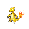 pokemon charmeleon image