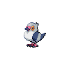pokemon pidove image