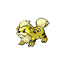 pokemon growlithe image