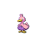 pokemon ducklett image