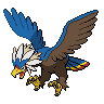pokemon braviary image