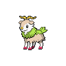 pokemon skiddo image