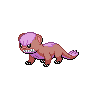 pokemon yungoos image