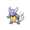 pokemon wartortle image