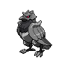 pokemon corviknight image