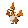 pokemon cramorant image